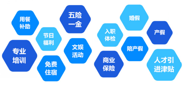 提供全面、系統(tǒng)、專業(yè)的培訓和廣闊的<br>職業(yè)發(fā)展空間和提升機會